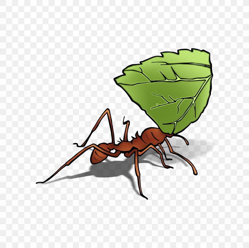 Digiwave ANT7288 Leafcutter Ant Insect Queen Ant, PNG, 2362x2362px, Ant, Aerials, Arthropod, Cartoon, Earth Download Free