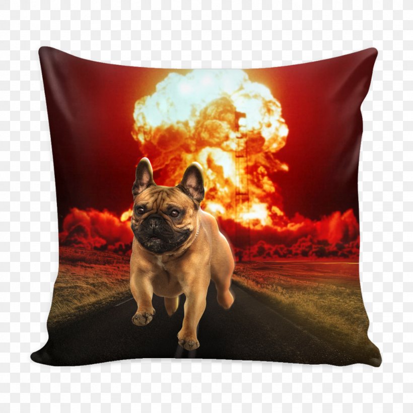 Nuclear Weapon United States Deepwater Horizon Oil Spill Swan Song Bomb, PNG, 1024x1024px, Nuclear Weapon, Bomb, Book, Carnivoran, Cushion Download Free
