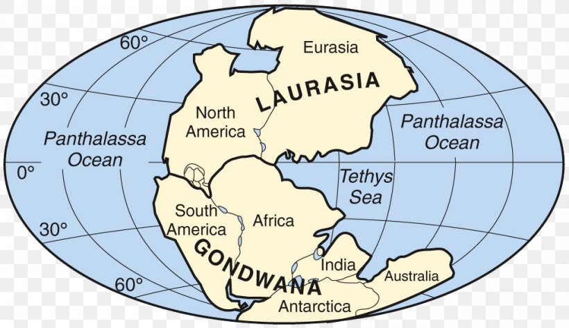 Panthalassa Laurasia Pangaea Gondwana Tethys Ocean, PNG, 1000x576px, Panthalassa, Area, Continent, Continental Drift, Divergent Boundary Download Free