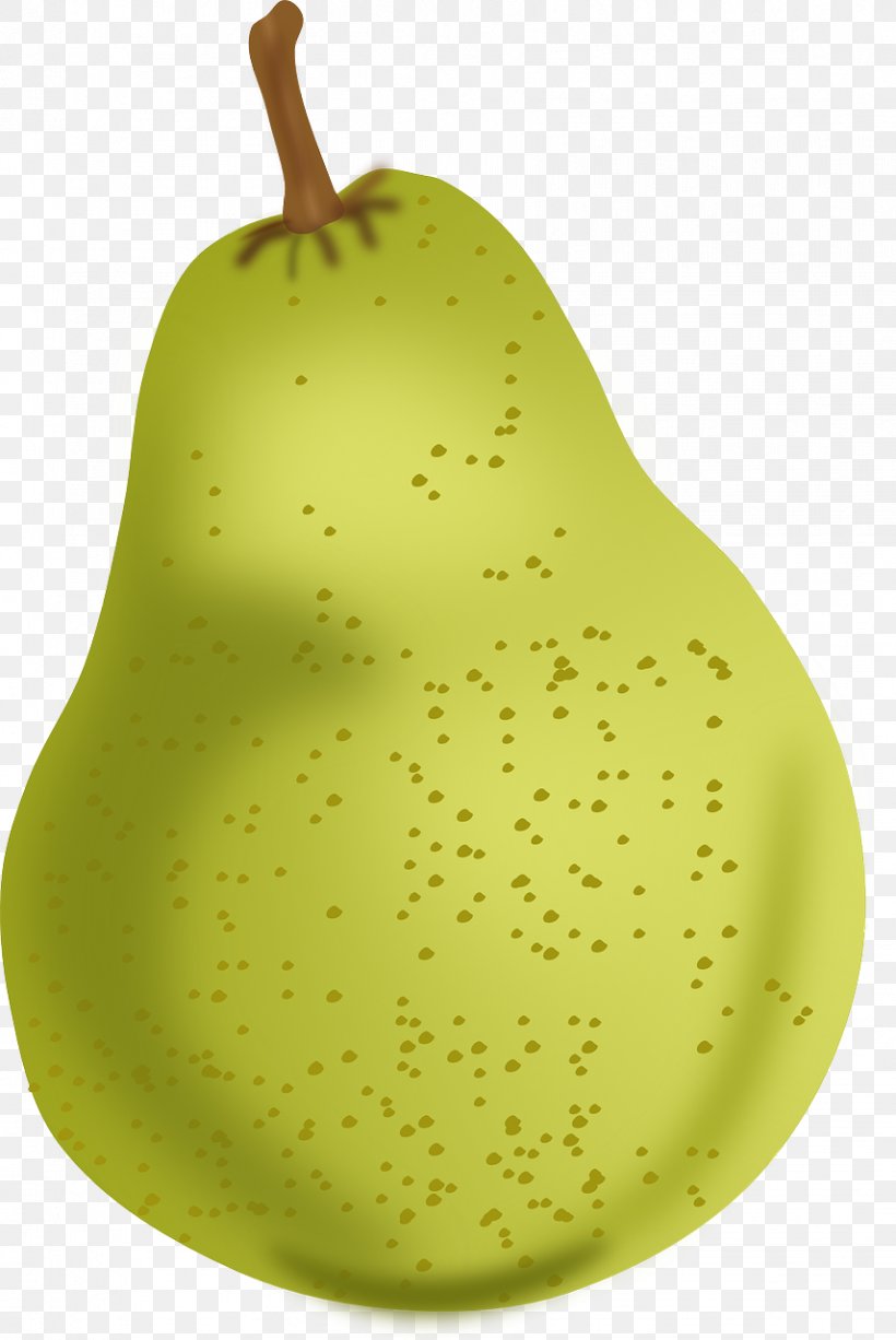 Pear Free Content Download Clip Art, PNG, 856x1280px, Pear, Food, Free Content, Fruit, Fruit Tree Download Free