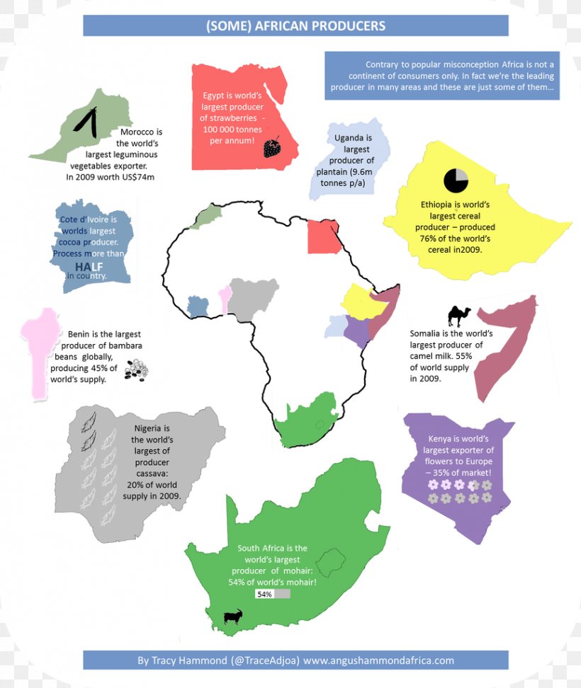 South Africa Infographic Diagram Data Education, PNG, 863x1024px, South Africa, Africa, Area, Chart, Data Download Free