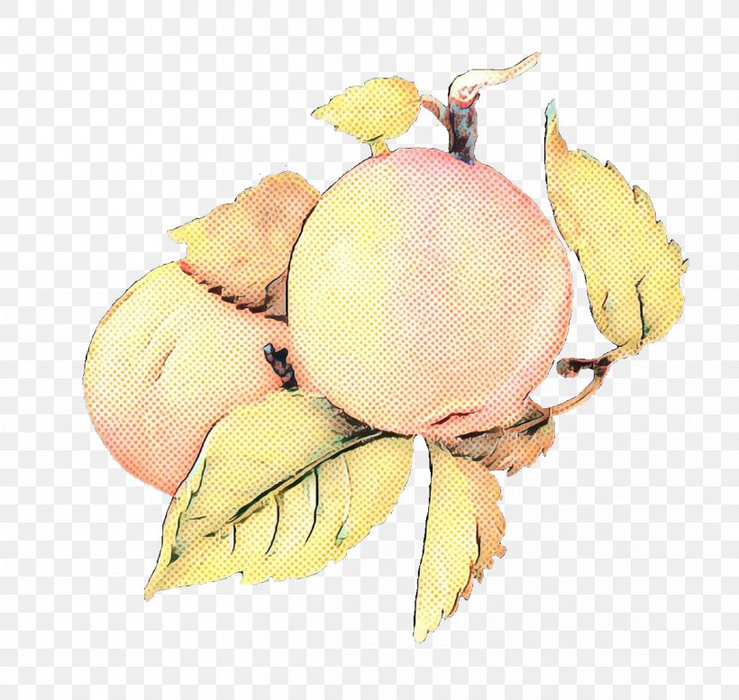 Fruit Cartoon, PNG, 1165x1104px, Fruit, Plant, Yellow Download Free