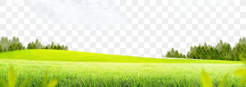 Lawn Grass Meadow, PNG, 1500x530px, Lawn, Agriculture, Commodity, Crop, Energy Download Free