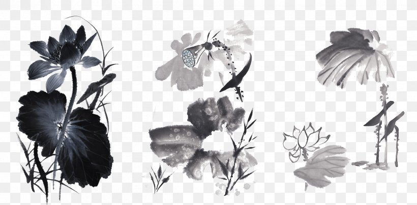 Nelumbo Nucifera Painting Ink Lotus Seed, PNG, 2396x1183px, Nelumbo Nucifera, Black And White, Branch, Chinese New Year, Drawing Download Free