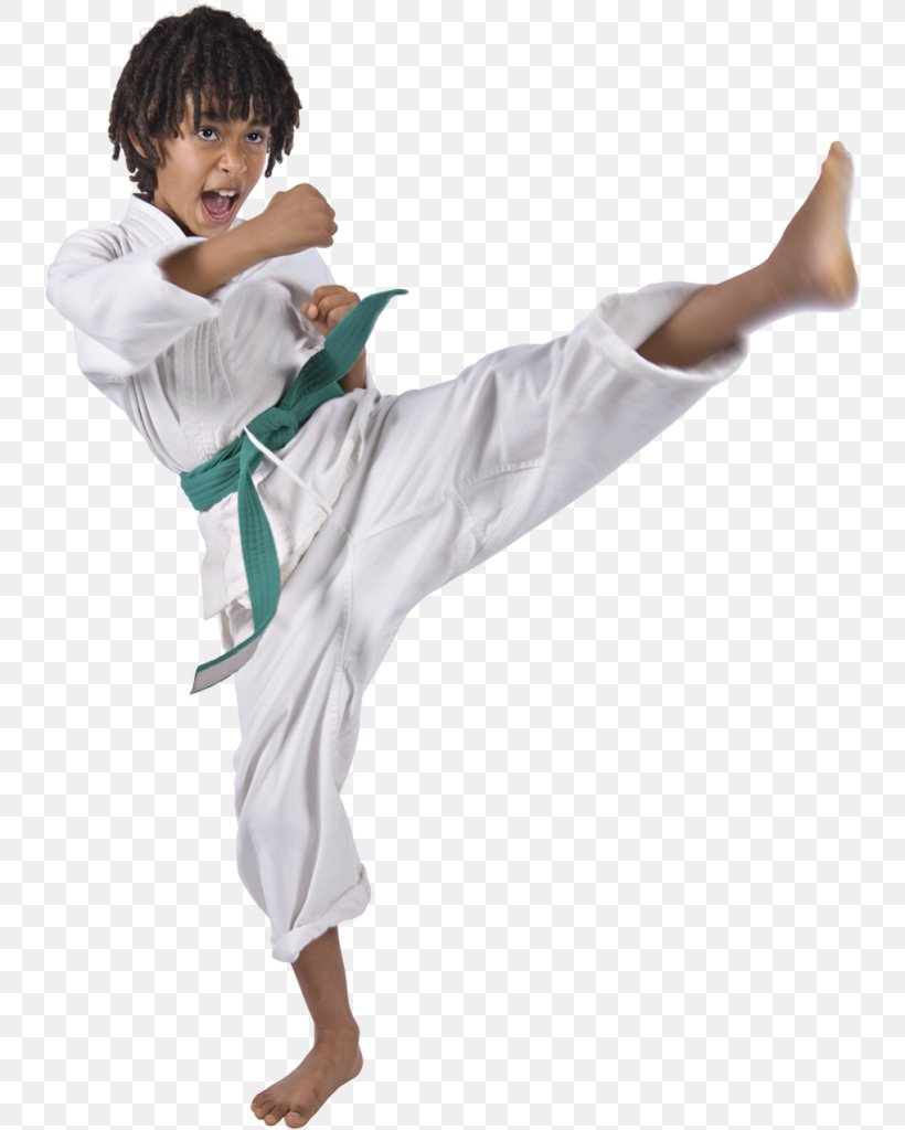 Sandoval Freestyle Karate Gilbert Martial Arts Taekwondo Sport, PNG, 738x1024px, Karate, Arm, Black Belt, Costume, Dobok Download Free