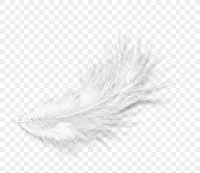 White Feather Black Pattern, PNG, 2632x2272px, White, Black, Black And White, Feather, Material Download Free