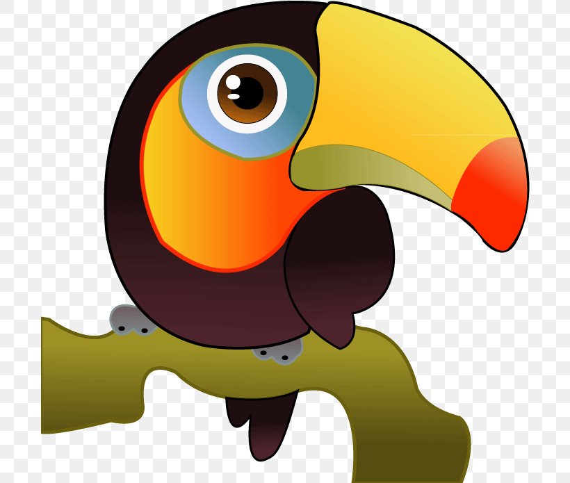 Hornbill Bird, PNG, 704x695px, Toco Toucan, Beak, Bird, Cartoon, Channelbilled Toucan Download Free
