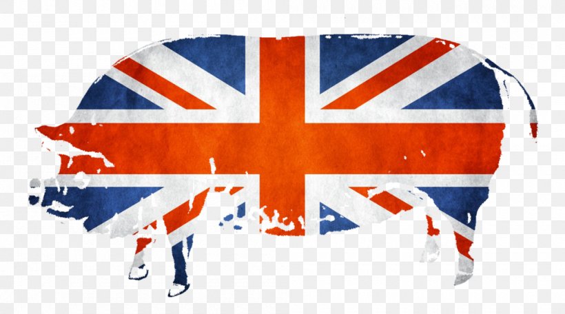Union Jack Great Britain Flag Of England Flag Of Australia, PNG, 1000x557px, Union Jack, Ensign, Flag, Flag Of Australia, Flag Of Belgium Download Free