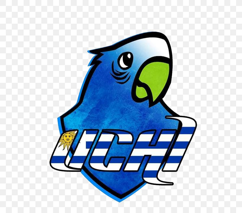 Uruguay Montevideo Rubik's Cube World Cube Association Jigsaw Puzzles Speedcubing, PNG, 720x720px, Uruguay Montevideo, Artwork, Beak, Bird, Cube Download Free