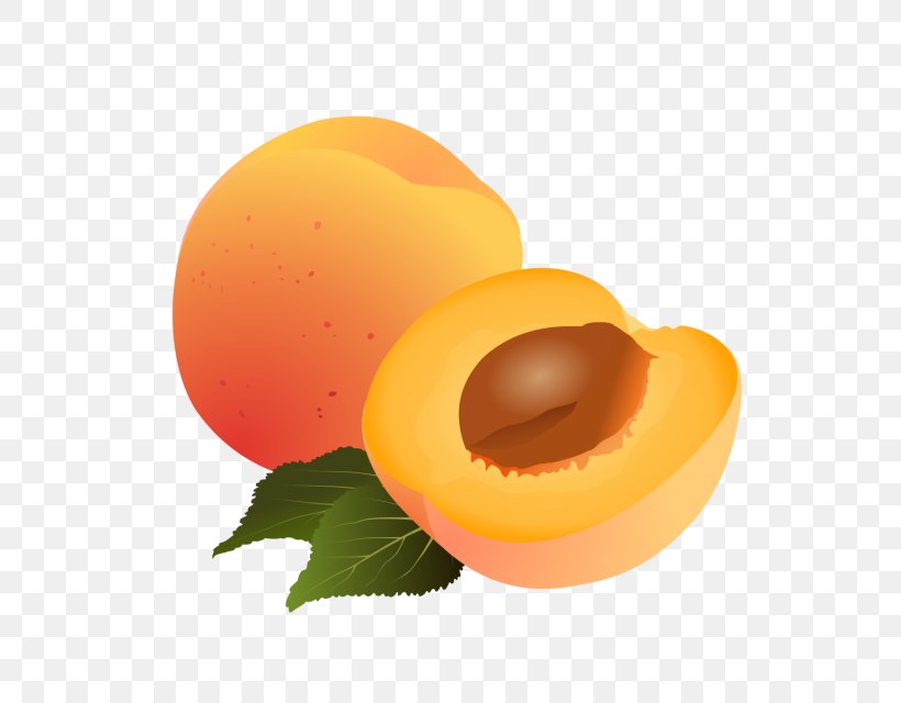Apricot Drawing Fruit Clip Art Image, PNG, 640x640px, Apricot, Auglis, Cartoon, Diagram, Drawing Download Free