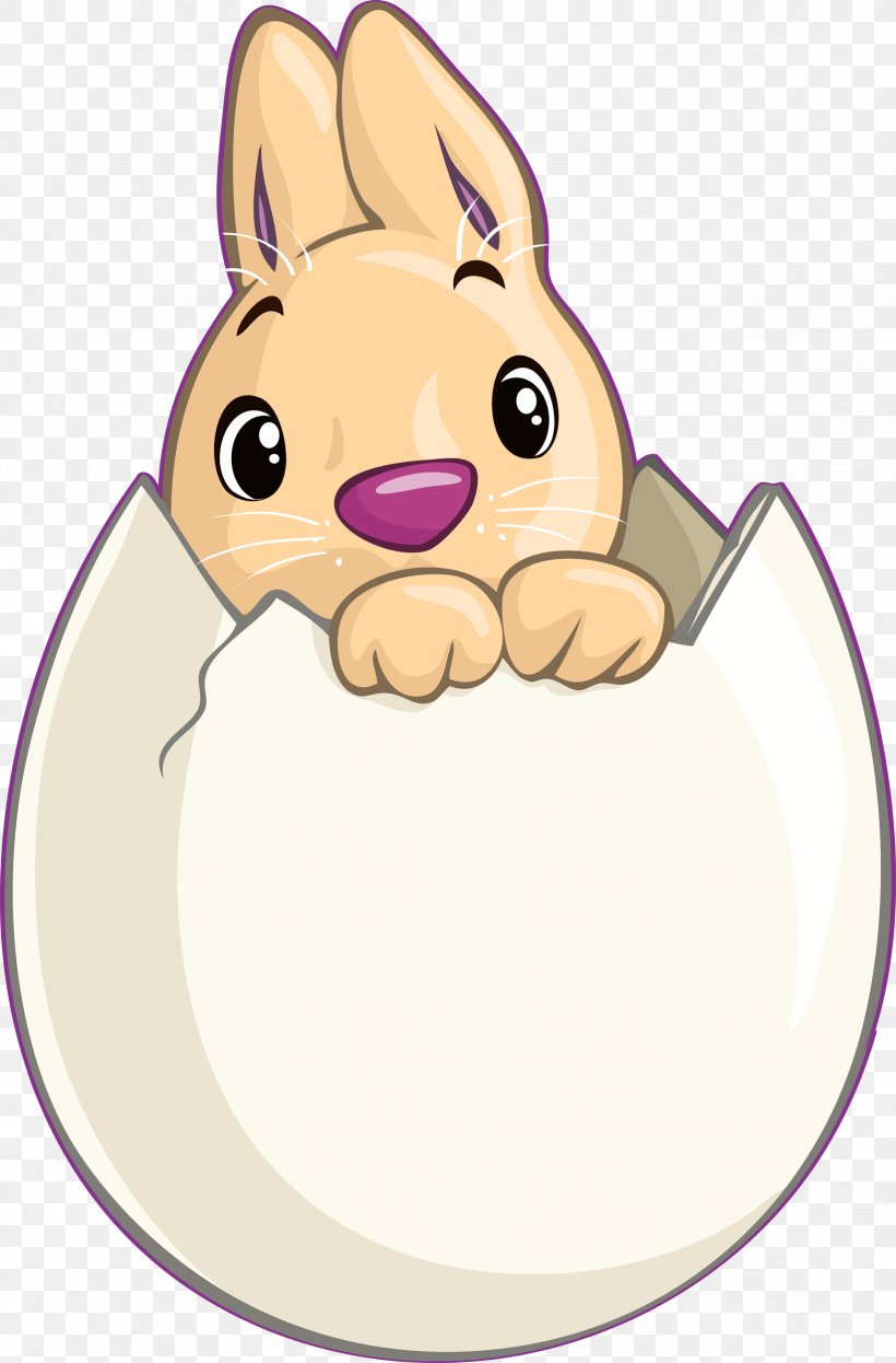 Easter Bunny Domestic Rabbit Whiskers Clip Art, PNG, 1644x2500px, Easter Bunny, Carnivoran, Cat, Cat Like Mammal, Dog Like Mammal Download Free