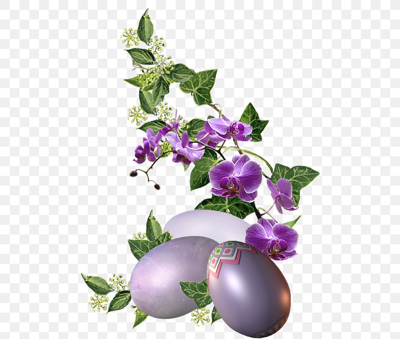 Flowers Background, PNG, 503x694px, Blog, Anthology, Balloon Flower, Bellflower, Bellflower Family Download Free