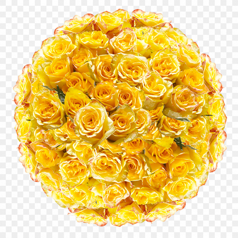 Garden Roses, PNG, 1000x1000px, Garden Roses, Cut Flowers, Floral Design, Flower, Flower Bouquet Download Free