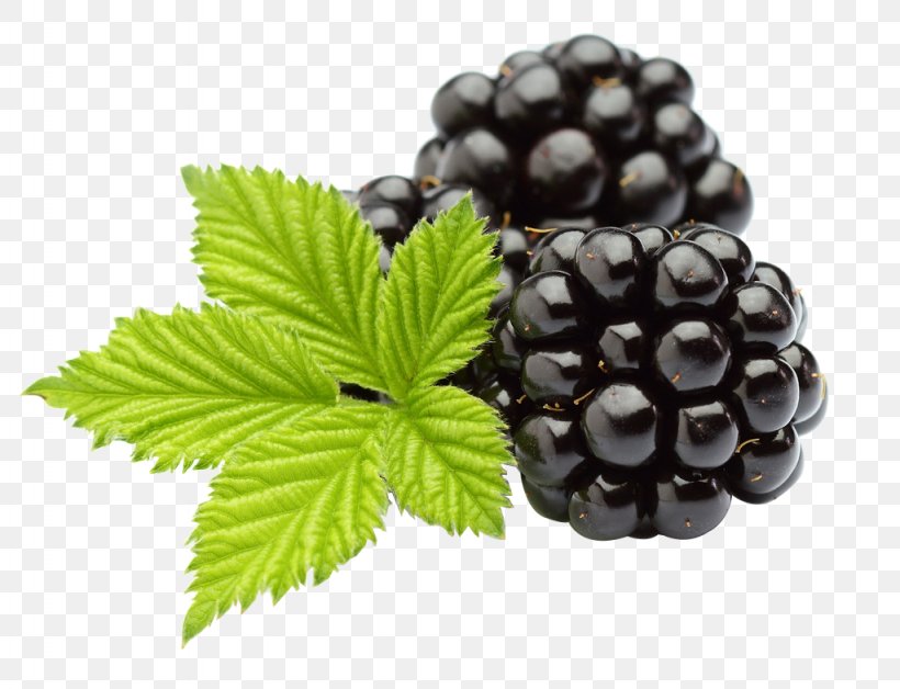 Juice Fruit Blackberry Extract Flavor, PNG, 1024x785px, Juice, Anthocyanin, Antioxidant, Berry, Blackberry Download Free