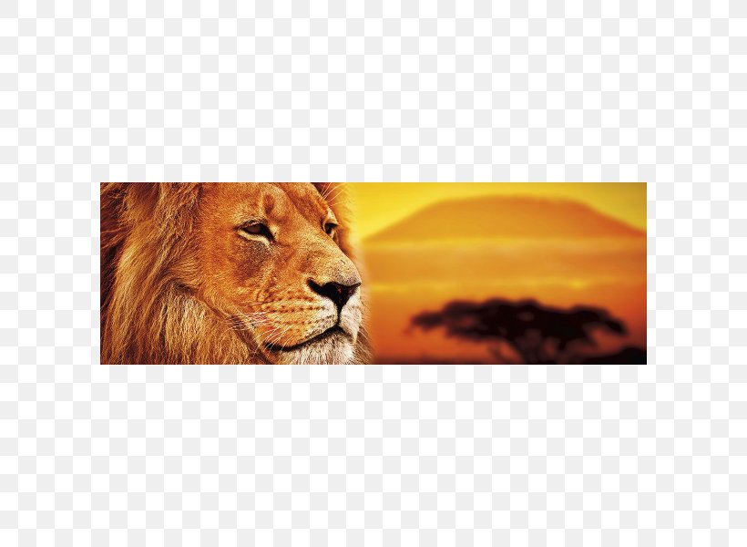 Lion Serengeti Savanna Stock Photography Maasai Mara, PNG, 600x600px, Lion, Art, Big Cats, Carnivoran, Cat Like Mammal Download Free