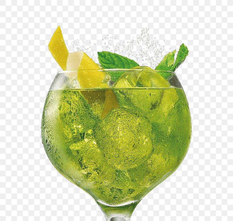 Mojito Tonic Water Gin And Tonic Cocktail, PNG, 625x777px, Mojito, Cocktail, Cocktail Garnish, Drink, Elderflower Cordial Download Free