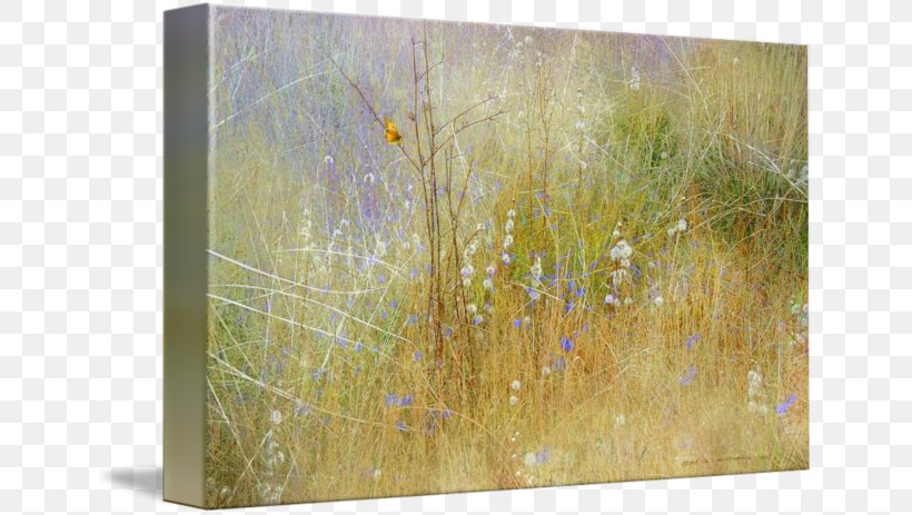 Painting Canvas Print Art, PNG, 650x463px, Painting, Art, Canvas, Canvas Print, Grass Download Free