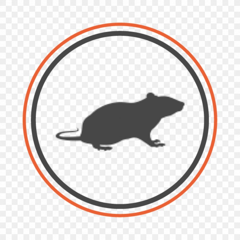 Rat OxiSix Pest Control Exterminator, PNG, 1800x1800px, Rat, Bed Bug Bite, Bed Bug Control Techniques, Carnivoran, Exterminator Download Free