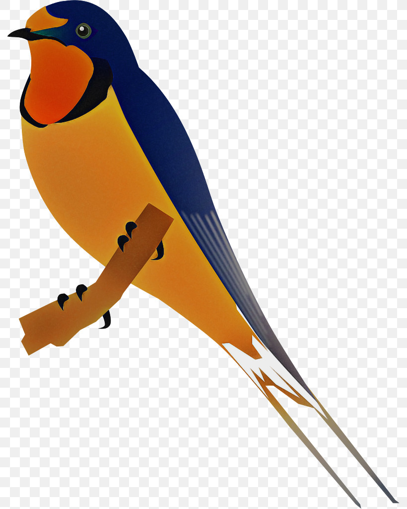 Bird Beak Songbird Perching Bird Finch, PNG, 792x1024px, Bird, Atlantic Canary, Beak, Canary, Finch Download Free