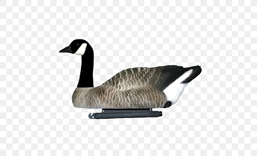 Canada Goose Mallard Dakota Decoy LLC, PNG, 500x500px, Goose, Anseriformes, Beak, Bird, Canada Goose Download Free