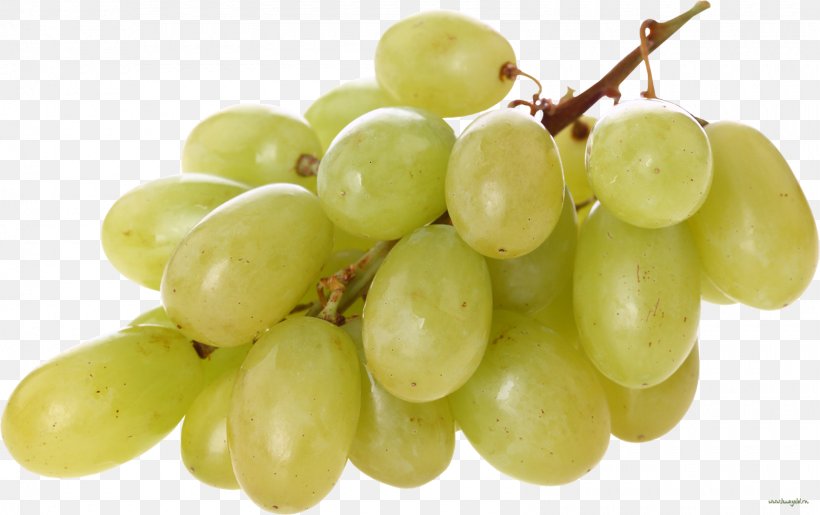 Common Grape Vine Wine Sultana, PNG, 1600x1005px, Common Grape Vine, Berry, Food, Fruit, Grape Download Free