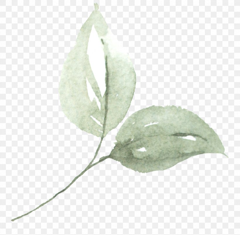 Leaf, PNG, 1188x1163px, Leaf, Plant Download Free