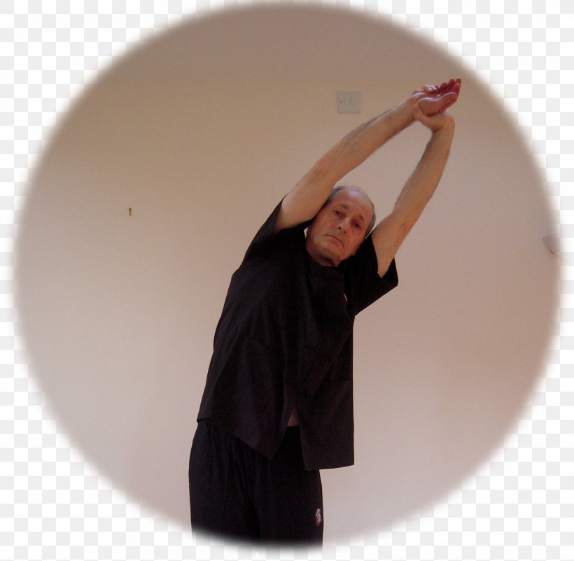 Tai Chi Wudang T'ai Chi Ch'uan Martial Arts Qigong Self-defense, PNG, 2278x2228px, Tai Chi, Arm, Continuing Tai Chi, Exercise, Martial Arts Download Free