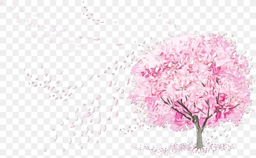 Cherry Blossom, PNG, 1024x635px, Watercolor, Blossom, Cherry Blossom, Flower, Paint Download Free