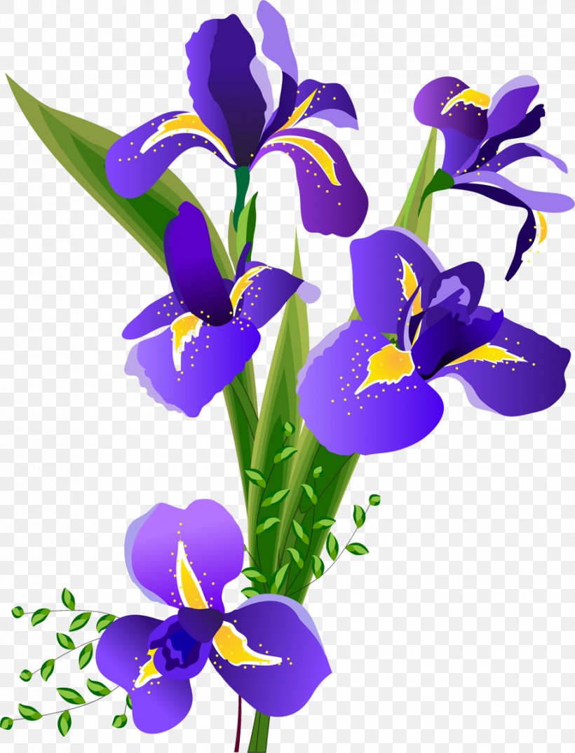 Flower Irises, PNG, 916x1200px, Flower, Cut Flowers, Floral Design, Flowering Plant, Iris Download Free
