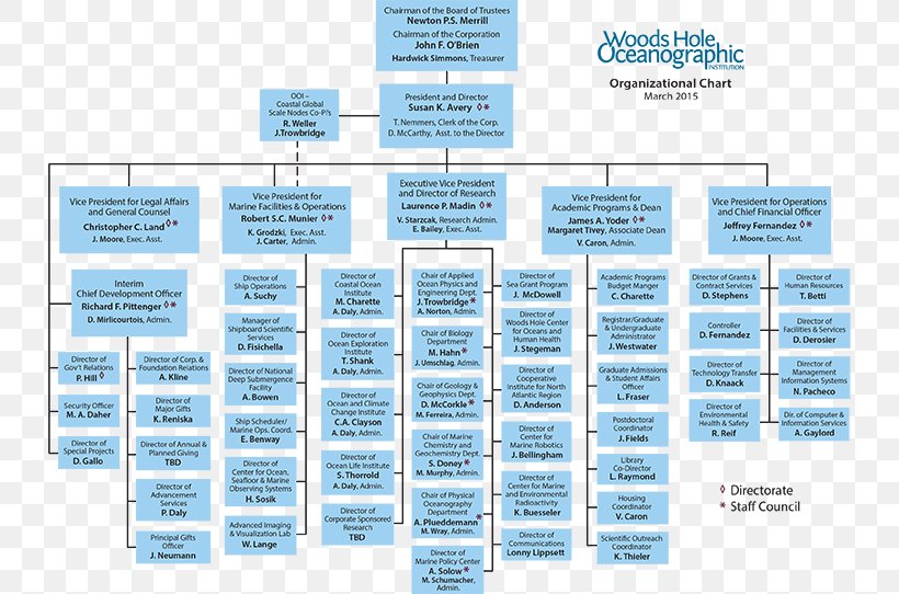 Organizational Chart Non-profit Organisation Organizational Structure Business, PNG, 738x542px, Organizational Chart, Board Of Directors, Business, Chart, Company Download Free