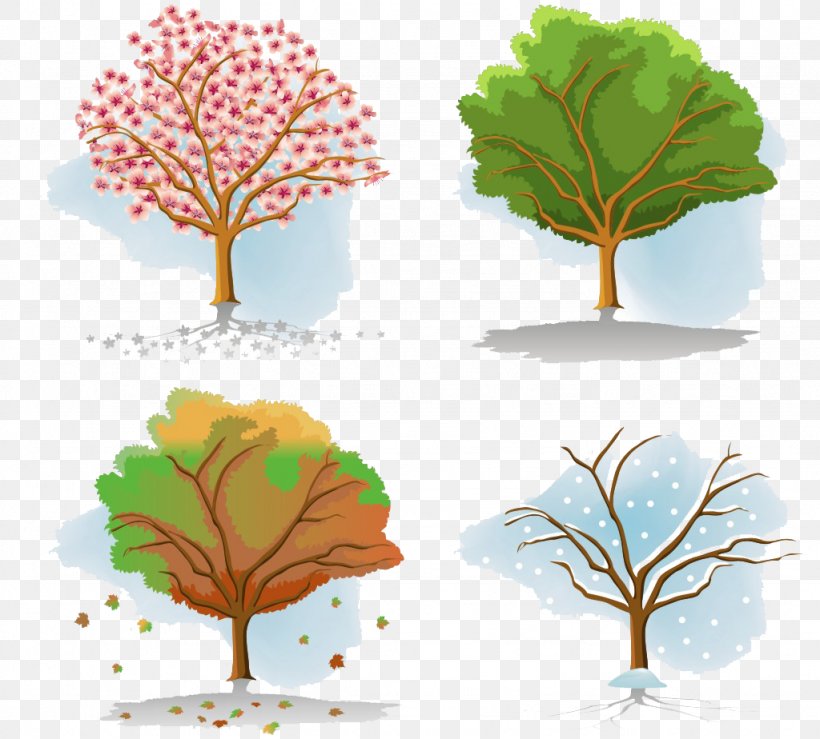 Tree Season Autumn, PNG, 1024x924px, Tree, Autumn, Autumn Leaf Color, Branch, Color Download Free