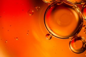 Sea Buckthorn - Hemp Oil Agriculture Biodiesel PNG