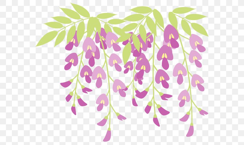 Japanese Wisteria Green Illustration Flower Water Lily, PNG, 700x490px, Japanese Wisteria, Branch, Color, Flora, Floral Design Download Free