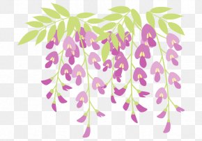 Floral Background Material - Japanese Wisteria Green Illustration Flower Water Lily PNG