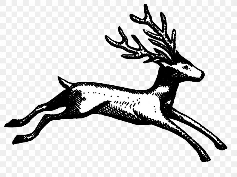 Reindeer Epping, Essex Town Council Councillor, PNG, 1449x1086px, Reindeer, Agenda, Antler, Art, Black And White Download Free