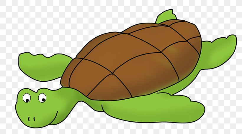 Sea Turtle Clip Art, PNG, 787x456px, Turtle, Cartoon, Drawing, Fauna, Free Content Download Free