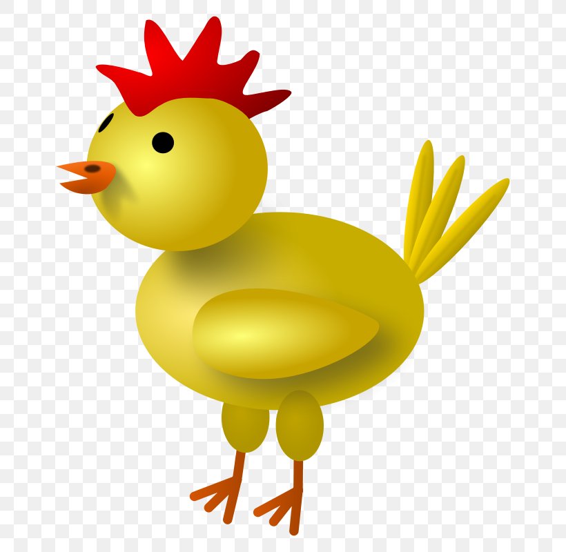 Yellow-hair Chicken Rooster Clip Art, PNG, 800x800px, Yellowhair Chicken, Beak, Bird, Cartoon, Chicken Download Free