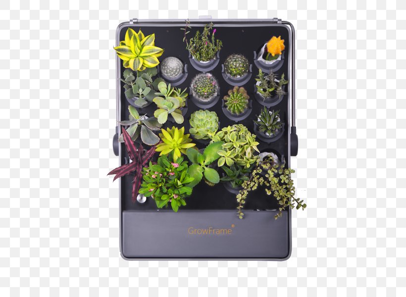 Floral Design Cut Flowers Herb, PNG, 600x600px, Floral Design, Cut Flowers, Flora, Floristry, Flower Download Free