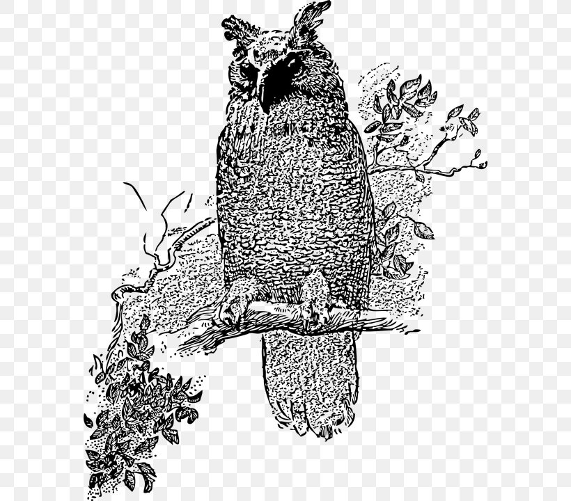 Great Horned Owl Bird Clip Art, PNG, 580x720px, Owl, Art, Barred Owl, Beak, Bird Download Free