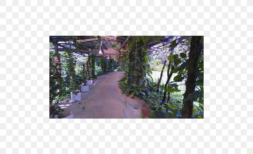Lake Gardens, Kuala Lumpur IFit Botanical Garden Treadmill, PNG, 500x500px, Lake Gardens Kuala Lumpur, Area, Botanical Garden, Elliptical Trainers, Exercise Download Free