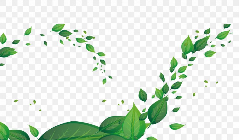 Leaf Green Fundal, PNG, 1702x1000px, Leaf, Area, Coreldraw, Flora, Fundal Download Free