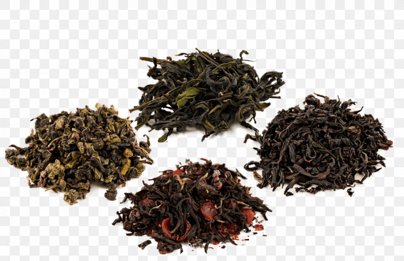 Oolong Dianhong Nilgiri Tea Darjeeling Tea, PNG, 920x596px, Oolong, Assam Tea, Bai Mudan, Bancha, Biluochun Download Free