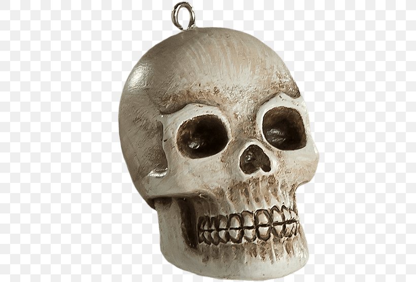 Skull Human Skeleton Christmas Horror, PNG, 555x555px, Skull, Bone, Christmas, Halloween, Horror Download Free