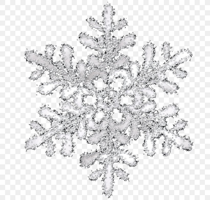 Snowflake Transparency And Translucency Icon, PNG, 704x779px, Snowflake, Black And White, Digital Image, Monochrome, Monochrome Photography Download Free