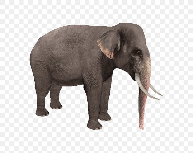 Zoo Tycoon 2 Asian Elephant African Bush Elephant African Forest Elephant, PNG, 800x649px, Zoo Tycoon 2, Addax, African Bush Elephant, African Elephant, African Forest Elephant Download Free