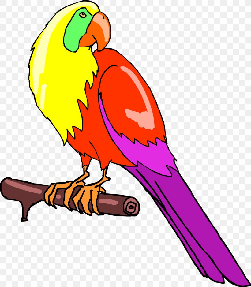 Bird Parrot Parakeet Macaw Feather, PNG, 1048x1200px, Bird, Advertising, Animal, Animal Figure, Artwork Download Free