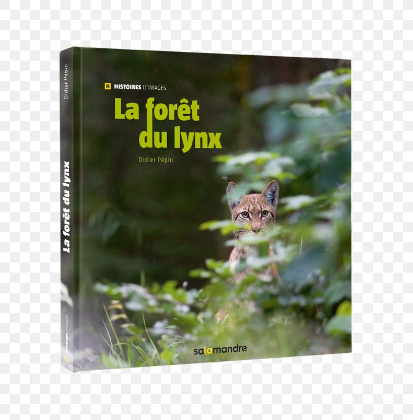 La Forêt Du Lynx Gray Wolf Iberian Lynx Forest Book, PNG, 600x832px, Gray Wolf, Animal, Apex Predator, Bear, Book Download Free