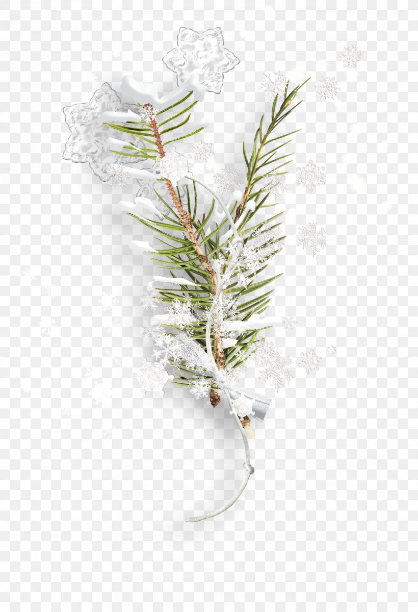 Twig Branch Snowflake Leaf, PNG, 2331x3409px, Twig, Branch, Christmas, Christmas Tree, Conifer Download Free