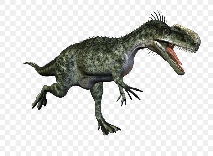 Tyrannosaurus Velociraptor Cryolophosaurus Monolophosaurus Concavenator, PNG, 800x600px, 3d Computer Graphics, 3d Rendering, Tyrannosaurus, Animal, Concavenator Download Free