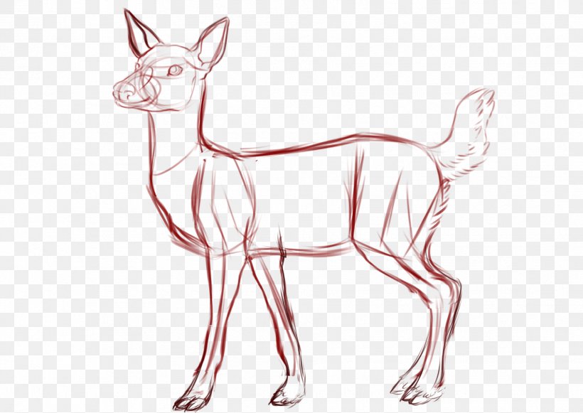 White-tailed Deer Drawing Sketch, PNG, 1878x1331px, Deer, Anatomy, Animal Figure, Antelope, Antler Download Free